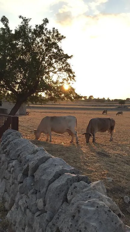 Farm stay Agriturismo Il Melograno Cannizzara