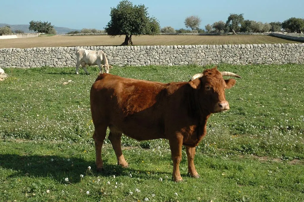 Farm stay Agriturismo Il Melograno Cannizzara
